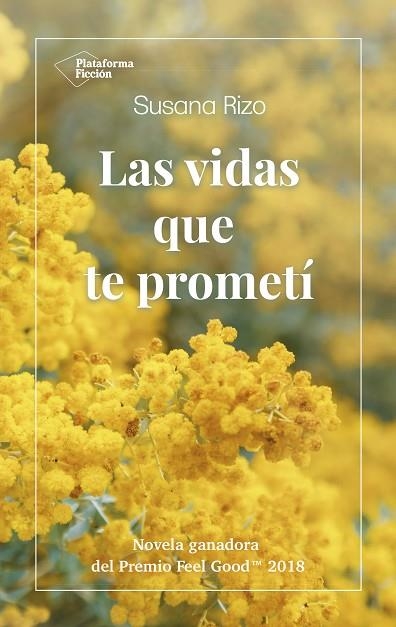 VIDAS QUE TE PROMETÍ, LAS | 9788417622022 | RIZO, SUSANA | Llibreria Drac - Librería de Olot | Comprar libros en catalán y castellano online