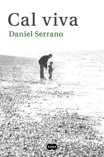 CAL VIVA | 9788491293675 | SERRANO, DANIEL | Llibreria Drac - Llibreria d'Olot | Comprar llibres en català i castellà online