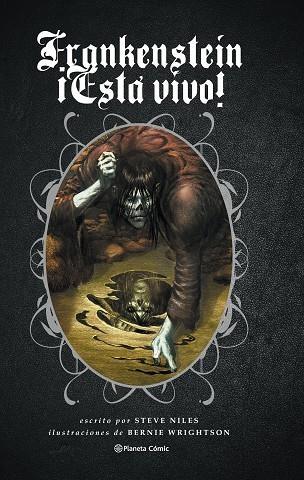 FRANKENSTEIN ¡ESTÁ VIVO! | 9788416543908 | WRIGHTSON, BERNIE | Llibreria Drac - Librería de Olot | Comprar libros en catalán y castellano online