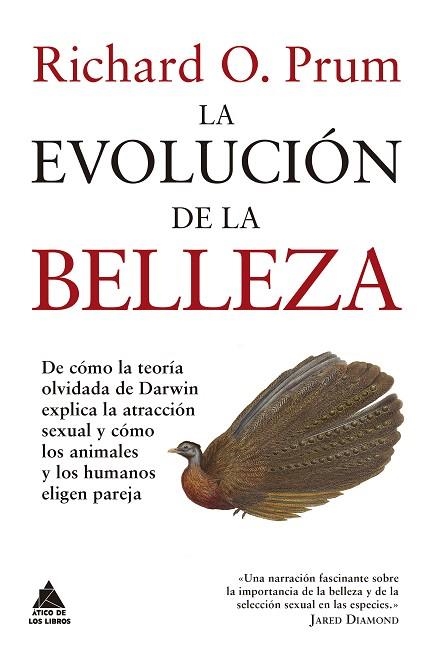 EVOLUCIÓN DE LA BELLEZA, LA | 9788416222766 | PRUM, RICHARD O. | Llibreria Drac - Librería de Olot | Comprar libros en catalán y castellano online