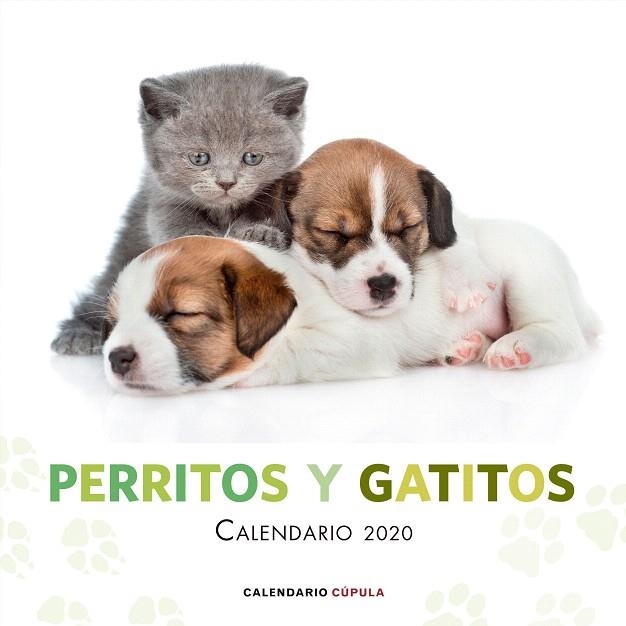 CALENDARIO PERRITOS Y GATITOS 2020 | 9788448026172 | AA.DD. | Llibreria Drac - Librería de Olot | Comprar libros en catalán y castellano online
