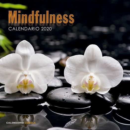CALENDARIO MINDFULNESS 2020 | 9788448026110 | AA.DD. | Llibreria Drac - Librería de Olot | Comprar libros en catalán y castellano online