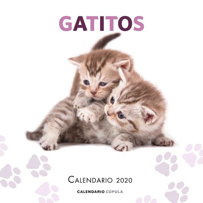 CALENDARIO GATITOS 2020 | 9788448026165 | AA.DD. | Llibreria Drac - Librería de Olot | Comprar libros en catalán y castellano online
