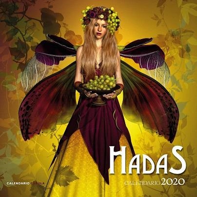 CALENDARIO HADAS 2020 | 9788448026240 | AA.DD. | Llibreria Drac - Librería de Olot | Comprar libros en catalán y castellano online