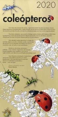 COLEOPTEROS CALENDARIO 2020 | 7427020037077 | VALVERDE, RAMON | Llibreria Drac - Librería de Olot | Comprar libros en catalán y castellano online