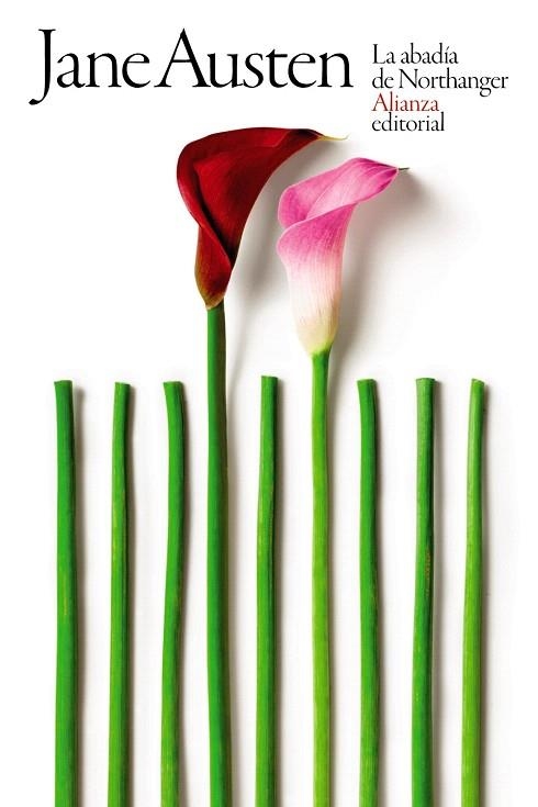 ABADÍA DE NORTHANGER, LA | 9788491816102 | AUSTEN, JANE | Llibreria Drac - Llibreria d'Olot | Comprar llibres en català i castellà online