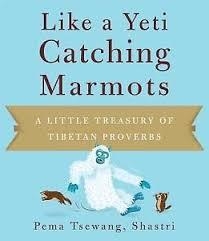 LIKE A YETI CATCHING MARMOTS | 9781614290001 | TSEWANG, PEMA | Llibreria Drac - Llibreria d'Olot | Comprar llibres en català i castellà online