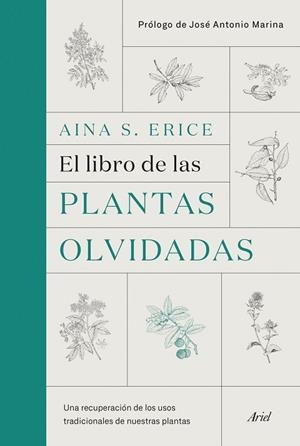 LIBRO DE LAS PLANTAS OLVIDADAS | 9788434431461 | ERICE, AINA S. | Llibreria Drac - Llibreria d'Olot | Comprar llibres en català i castellà online