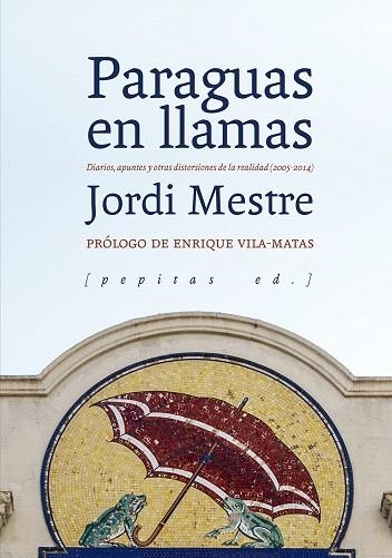 PARAGUAS EN LLAMAS | 9788417386429 | MESTRE VIDAL, JORDI | Llibreria Drac - Librería de Olot | Comprar libros en catalán y castellano online