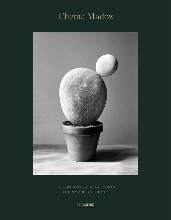 NATURALEZA DE LAS COSAS, LA | 9788417769314 | MADOZ, CHEMA | Llibreria Drac - Librería de Olot | Comprar libros en catalán y castellano online