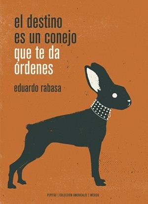 DESTINO ES UN CONEJO QUE TE DA ÓRDENES, EL | 9788417386498 | RABASA, EDUARDO | Llibreria Drac - Librería de Olot | Comprar libros en catalán y castellano online