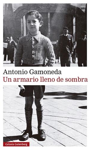 ARMARIO LLENO DE SOMBRA, UN | 9788417971694 | GAMONEDA, ANTONIO | Llibreria Drac - Librería de Olot | Comprar libros en catalán y castellano online