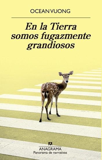 EN LA TIERRA SOMOS FUGAZMENTE GRANDIOSOS | 9788433980595 | VUONG, OCEAN | Llibreria Drac - Llibreria d'Olot | Comprar llibres en català i castellà online
