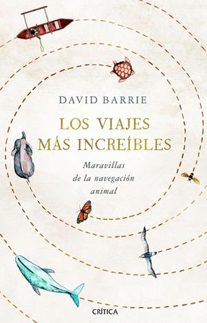 VIAJES MÁS INCREÍBLES, LOS | 9788491992059 | BARRIE, DAVID | Llibreria Drac - Librería de Olot | Comprar libros en catalán y castellano online