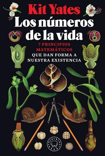 NÚMEROS DE LA VIDA, LOS | 9788417552947 | YATES, KIT | Llibreria Drac - Librería de Olot | Comprar libros en catalán y castellano online