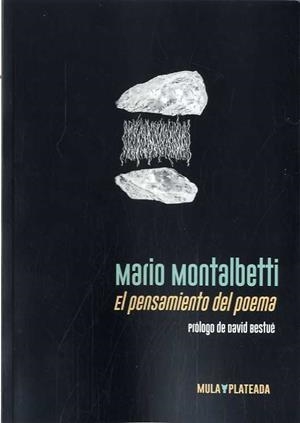 PENSAMIENTO DEL POEMA, EL | 9788412138016 | MONTALBETTI, MARIO | Llibreria Drac - Librería de Olot | Comprar libros en catalán y castellano online