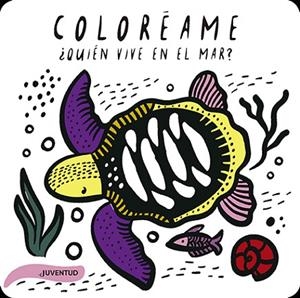 QUIEN VIVE EN EL MAR (COLOREAME) | 9788426146106 | SAJNANI, SURYA | Llibreria Drac - Llibreria d'Olot | Comprar llibres en català i castellà online