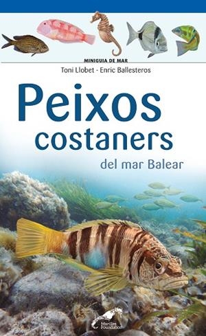 PEIXOS COSTANERS DEL MAR BALEAR | 9788490349403 | LLOBET, TONI; BALLESTEROS, ENRIC | Llibreria Drac - Llibreria d'Olot | Comprar llibres en català i castellà online