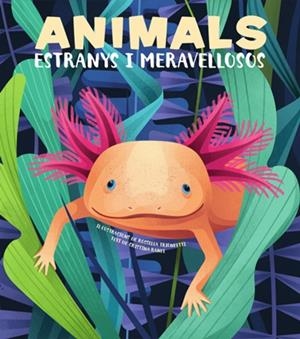 ANIMALS EXTRANYS I MERAVELLOSOS | 9788468270685 | BANFI, CRISTINA | Llibreria Drac - Librería de Olot | Comprar libros en catalán y castellano online