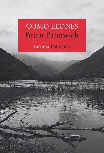 COMO LEONES | 9788418245572 | PANOWICH, BRIAN | Llibreria Drac - Llibreria d'Olot | Comprar llibres en català i castellà online
