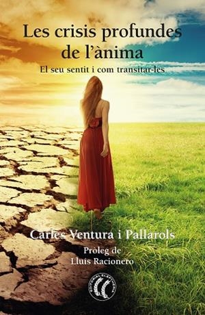 CRISIS PROFUNDES DE L'ÀNIMA, LES | 9788412067187 | VENTURA PALLAROLS, CARLES | Llibreria Drac - Llibreria d'Olot | Comprar llibres en català i castellà online