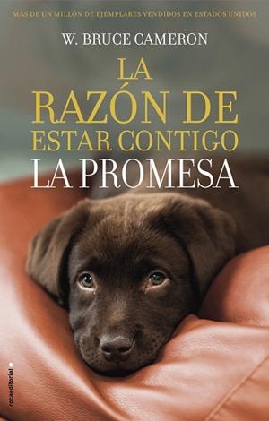 RAZON DE ESTAR CONTIGO LA PROMESA, LA | 9788417167103 | CAMERON, W. BRUCE | Llibreria Drac - Librería de Olot | Comprar libros en catalán y castellano online