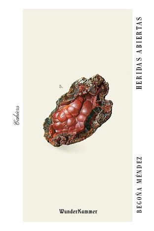 HERIDAS ABIERTAS | 9788494972591 | MÉNDEZ, BEGOÑA | Llibreria Drac - Librería de Olot | Comprar libros en catalán y castellano online