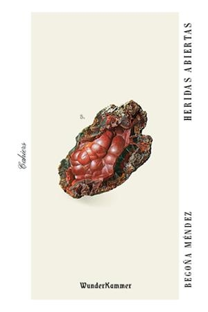 HERIDAS ABIERTAS | 9788494972591 | MÉNDEZ, BEGOÑA | Llibreria Drac - Librería de Olot | Comprar libros en catalán y castellano online