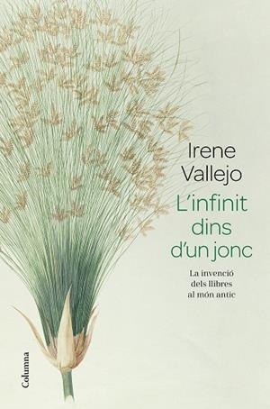 INFINIT DINS D'UN JONC, L' | 9788466426947 | VALLEJO, IRENE | Llibreria Drac - Llibreria d'Olot | Comprar llibres en català i castellà online