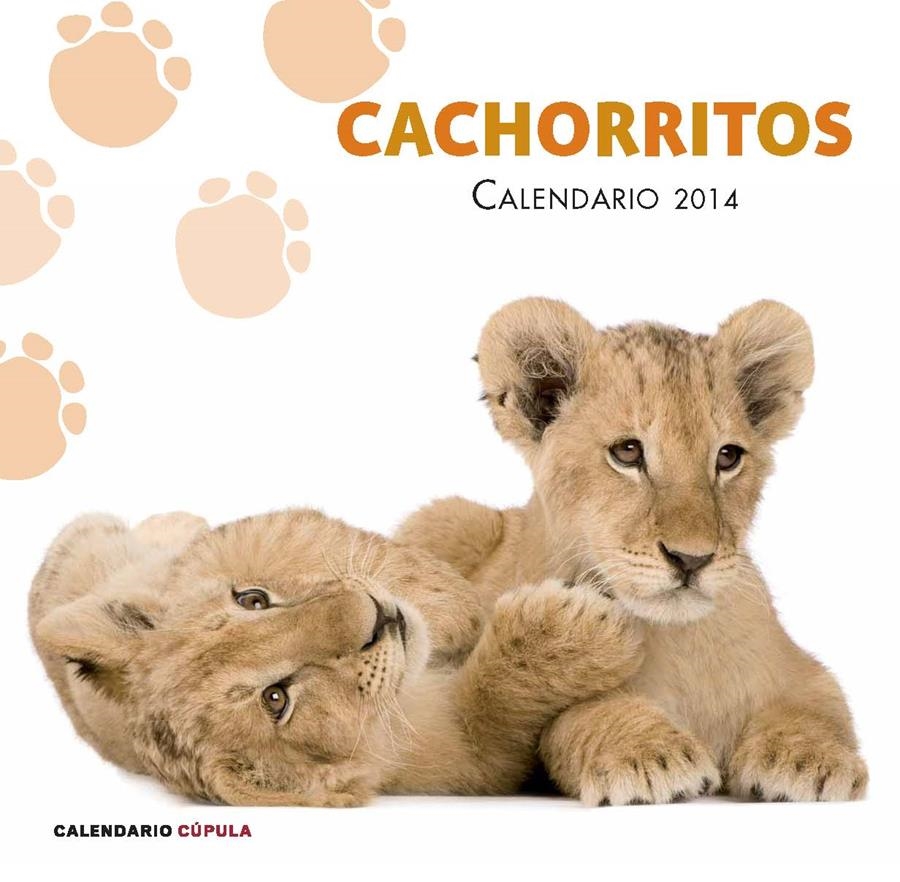 CALENDARIO CACHORRITOS 2014 | 9788448011741 | Llibreria Drac - Librería de Olot | Comprar libros en catalán y castellano online