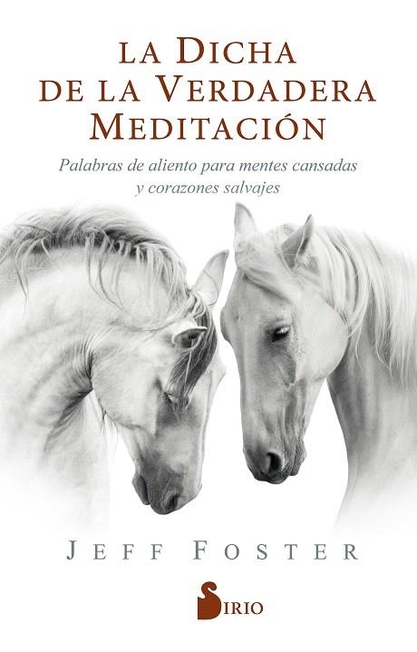 DICHA DE LA VERDADERA MEDITACIÓN, LA | 9788418000522 | FOSTER, JEFF | Llibreria Drac - Llibreria d'Olot | Comprar llibres en català i castellà online