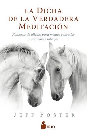 DICHA DE LA VERDADERA MEDITACIÓN, LA | 9788418000522 | FOSTER, JEFF | Llibreria Drac - Llibreria d'Olot | Comprar llibres en català i castellà online
