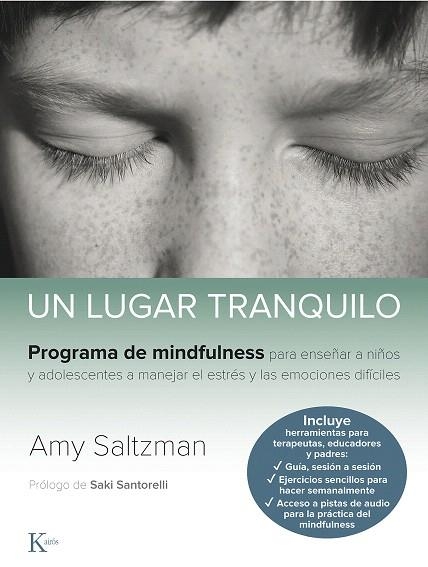 UN LUGAR TRANQUILO | 9788499887562 | SALTZMAN, AMY | Llibreria Drac - Librería de Olot | Comprar libros en catalán y castellano online