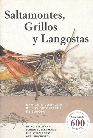 SALTAMONTES, GRILLOS Y LANGOSTAS | 9788428217279 | BELLMANN, HEIKO | Llibreria Drac - Llibreria d'Olot | Comprar llibres en català i castellà online