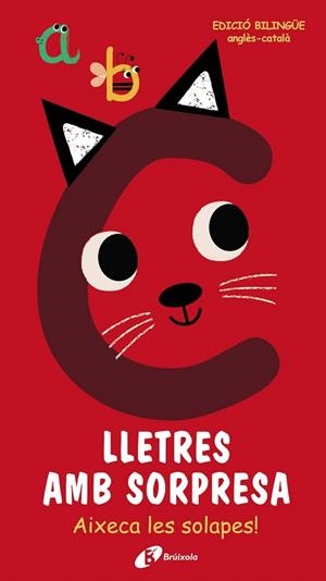 LLETRES AMB SORPRESA | 9788499063683 | AA.DD. | Llibreria Drac - Llibreria d'Olot | Comprar llibres en català i castellà online