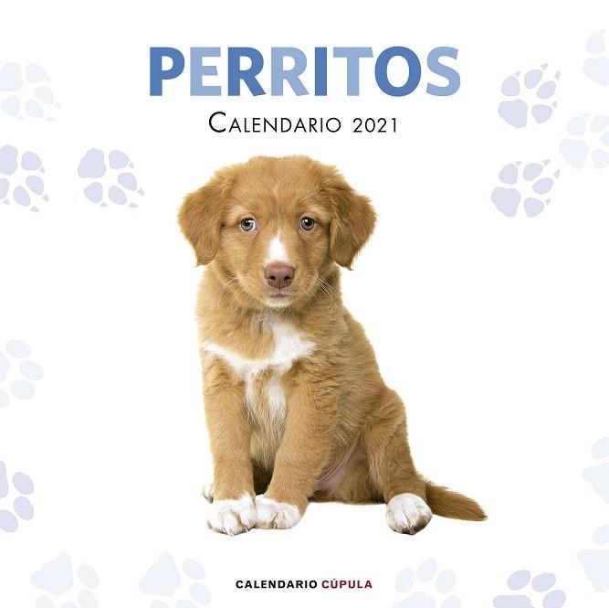 CALENDARIO PERRITOS 2021 | 9788448027766 | AA.DD. | Llibreria Drac - Librería de Olot | Comprar libros en catalán y castellano online
