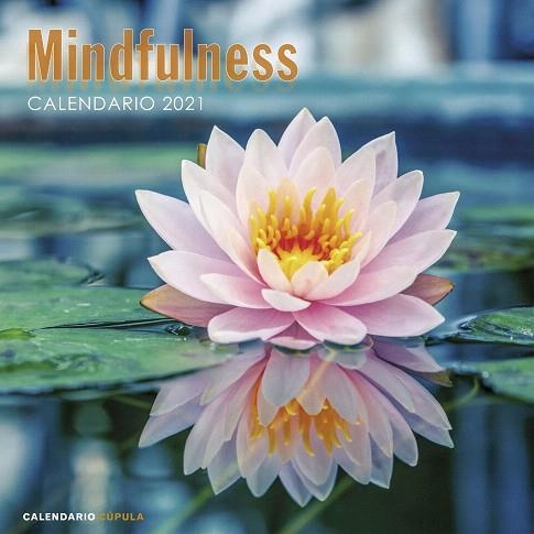 CALENDARIO MINDFULNESS 2021 | 9788448027735 | AA.DD. | Llibreria Drac - Librería de Olot | Comprar libros en catalán y castellano online