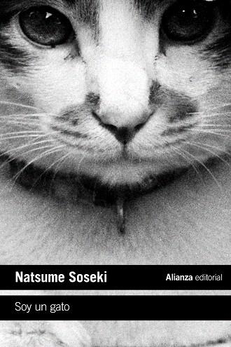 SOY UN GATO | 9788413620718 | SOSEKI, NATSUME | Llibreria Drac - Librería de Olot | Comprar libros en catalán y castellano online