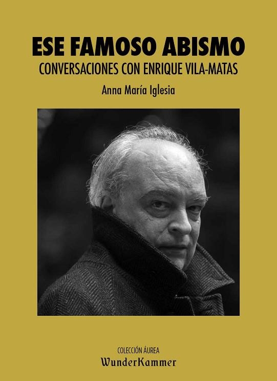 ESE FAMOSO ABISMO | 9788412166033 | IGLESIA PAGNOTTA, ANNA MARÍA | Llibreria Drac - Librería de Olot | Comprar libros en catalán y castellano online
