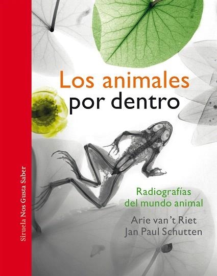 ANIMALES POR DENTRO, LOS | 9788417996963 | SCHUTTEN, JAN PAUL | Llibreria Drac - Llibreria d'Olot | Comprar llibres en català i castellà online