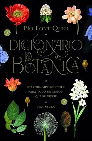 DICCIONARIO DE BOTÁNICA | 9788499429076 | FONT QUER, PÍO | Llibreria Drac - Llibreria d'Olot | Comprar llibres en català i castellà online