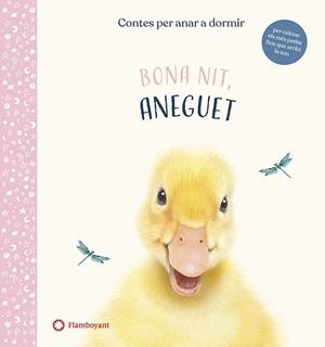 BONA NIT, ANEGUET | 9788417749637 | WOOD, AMANDA | Llibreria Drac - Librería de Olot | Comprar libros en catalán y castellano online