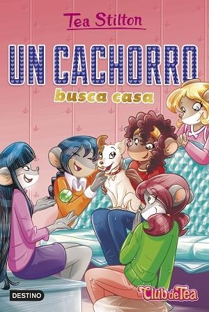 UN CACHORRO BUSCA CASA | 9788408231226 | STILTON, TEA | Llibreria Drac - Llibreria d'Olot | Comprar llibres en català i castellà online