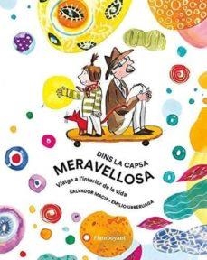 DINS LA CAPSA MERAVELLOSA | 9788494883224 | MACIP, SALVADOR; URBERUAGA, EMILIO | Llibreria Drac - Librería de Olot | Comprar libros en catalán y castellano online