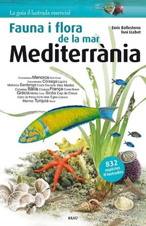 FLORA I FAUNA DE LA MAR MEDITERRÀNIA | 9788415885979 | BALLESTEROS, ENRIC | Llibreria Drac - Llibreria d'Olot | Comprar llibres en català i castellà online