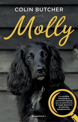 MOLLY | 9788417541033 | BUTCHER, COLLIN | Llibreria Drac - Llibreria d'Olot | Comprar llibres en català i castellà online
