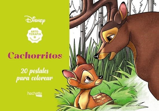 ARTETERAPIA. CACHORRITOS DISNEY | 9788417586560 | AA.DD | Llibreria Drac - Librería de Olot | Comprar libros en catalán y castellano online