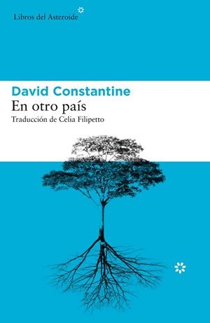 EN OTRO PAÍS | 9788417977016 | CONSTANTINE, DAVID | Llibreria Drac - Llibreria d'Olot | Comprar llibres en català i castellà online