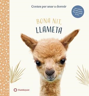 BONA NIT, LLAMETA | 9788417749958 | WOOD, AMANDA | Llibreria Drac - Librería de Olot | Comprar libros en catalán y castellano online