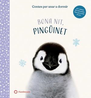 BONA NIT, PINGÜINET | 9788417749972 | WOOD, AMANDA | Llibreria Drac - Librería de Olot | Comprar libros en catalán y castellano online